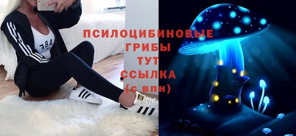 дмт Арсеньев