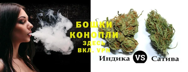 сатива Аркадак