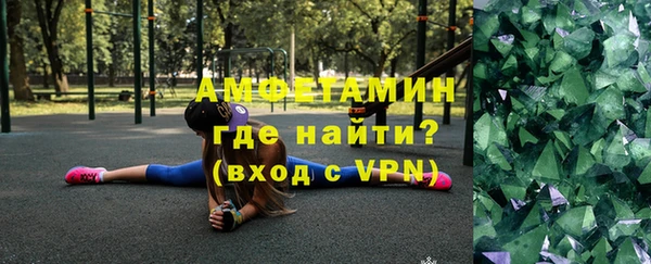 сатива Аркадак