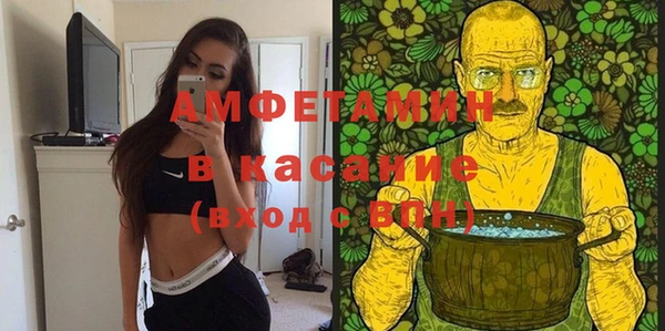 сатива Аркадак
