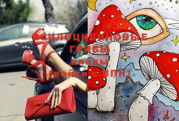 сатива Аркадак