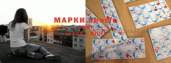 дмт Арсеньев