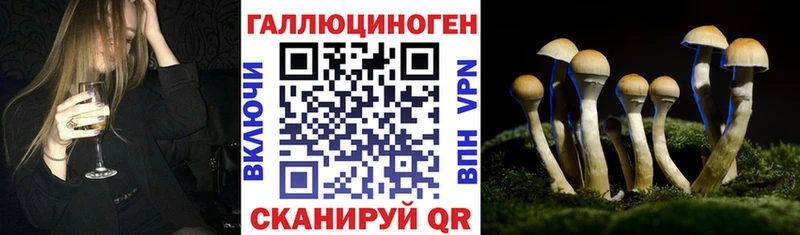 Псилоцибиновые грибы GOLDEN TEACHER  Багратионовск 